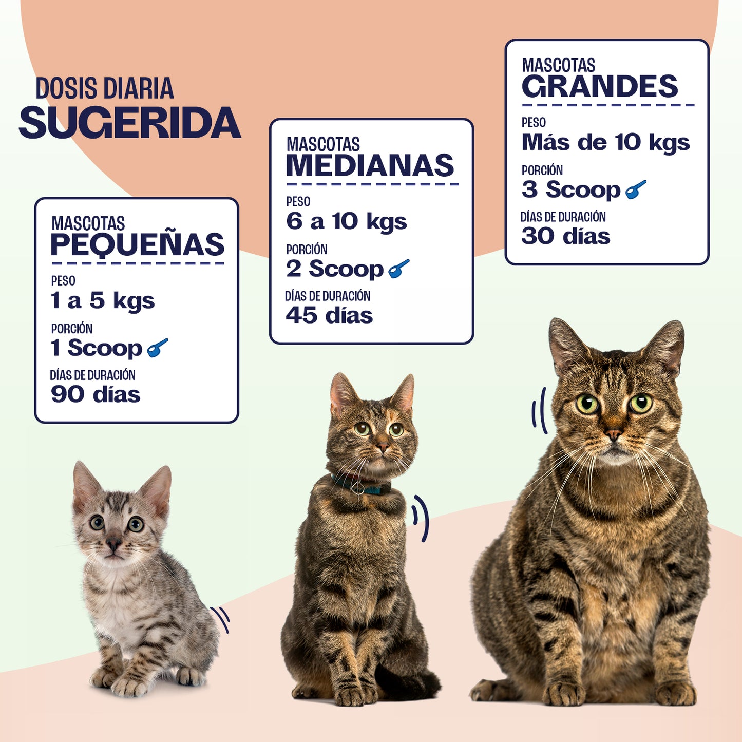 Kit - Salud Felina — Cuidado Integral para GATOS - 3 PRODUCTOS