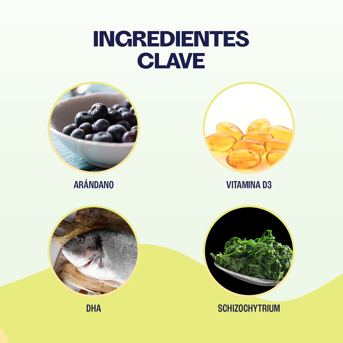 Kit - Salud Felina — Cuidado Integral para GATOS - 3 PRODUCTOS