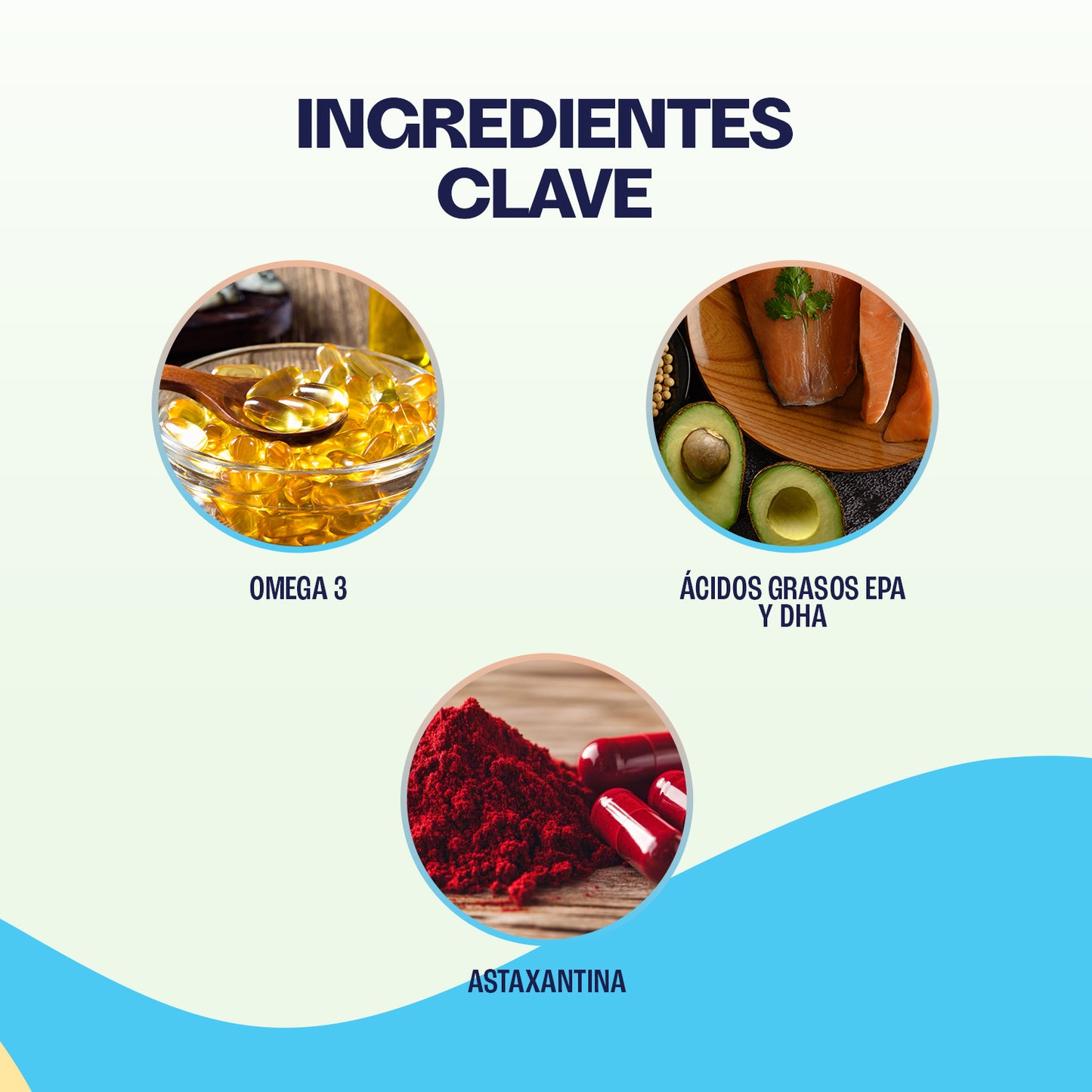 Kit - Salud Felina — Cuidado Integral para GATOS - 3 PRODUCTOS