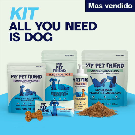 Kit - All You Need is Dog - 4 PRODUCTOS