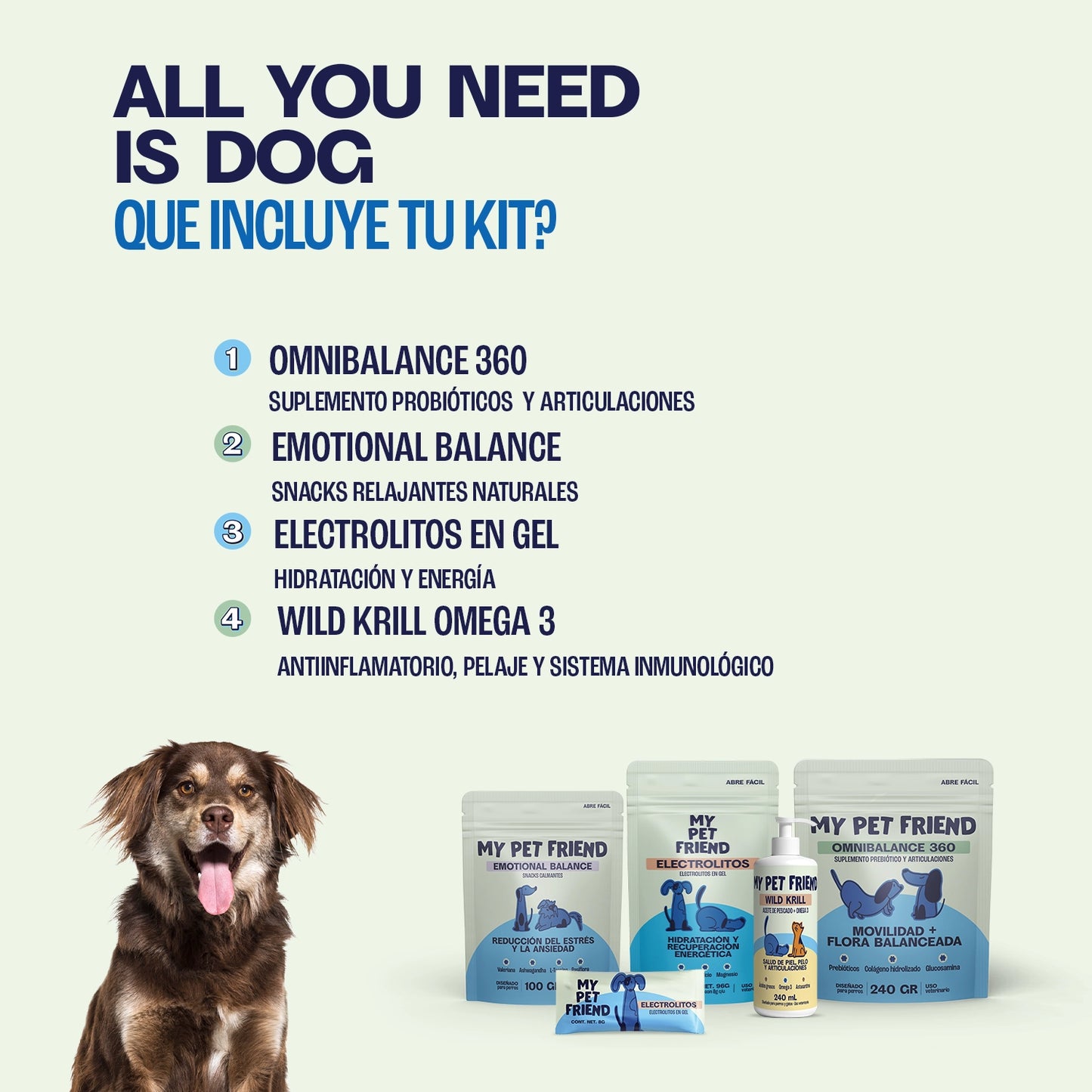 Kit - All You Need is Dog - 4 PRODUCTOS