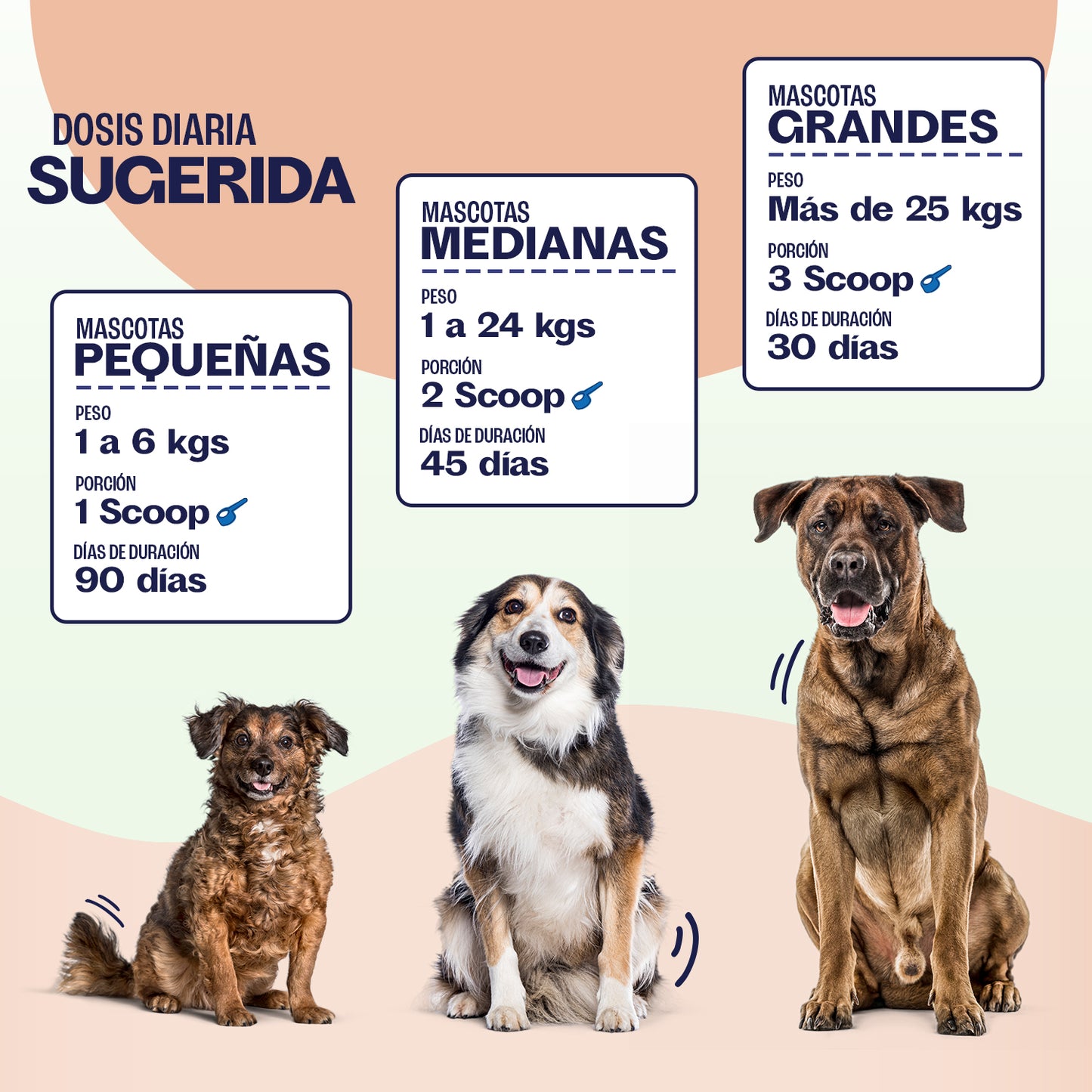 Electrolitos en Gel - Hidratación y Energía