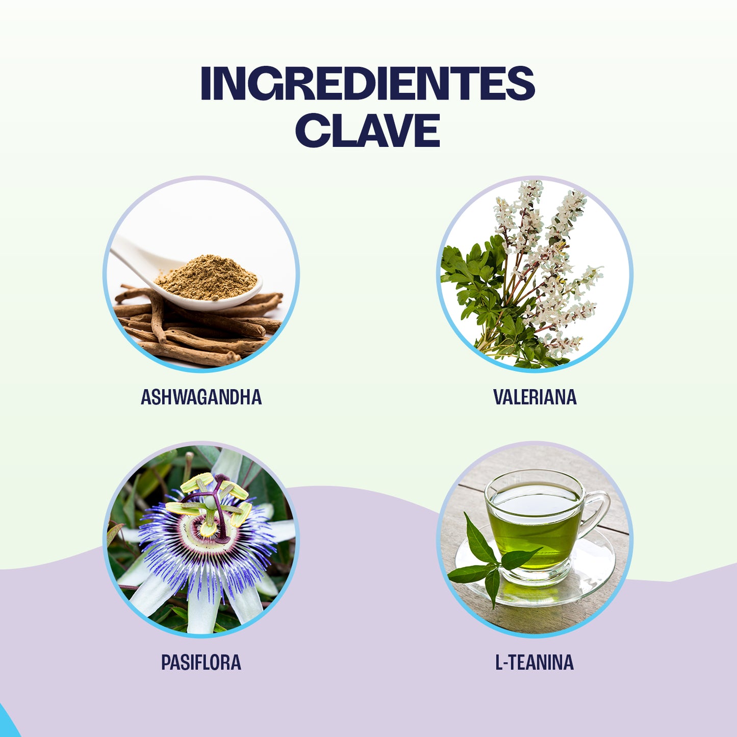 Snacks Relajantes - EMOTIONAL BALANCE - Pack de 2