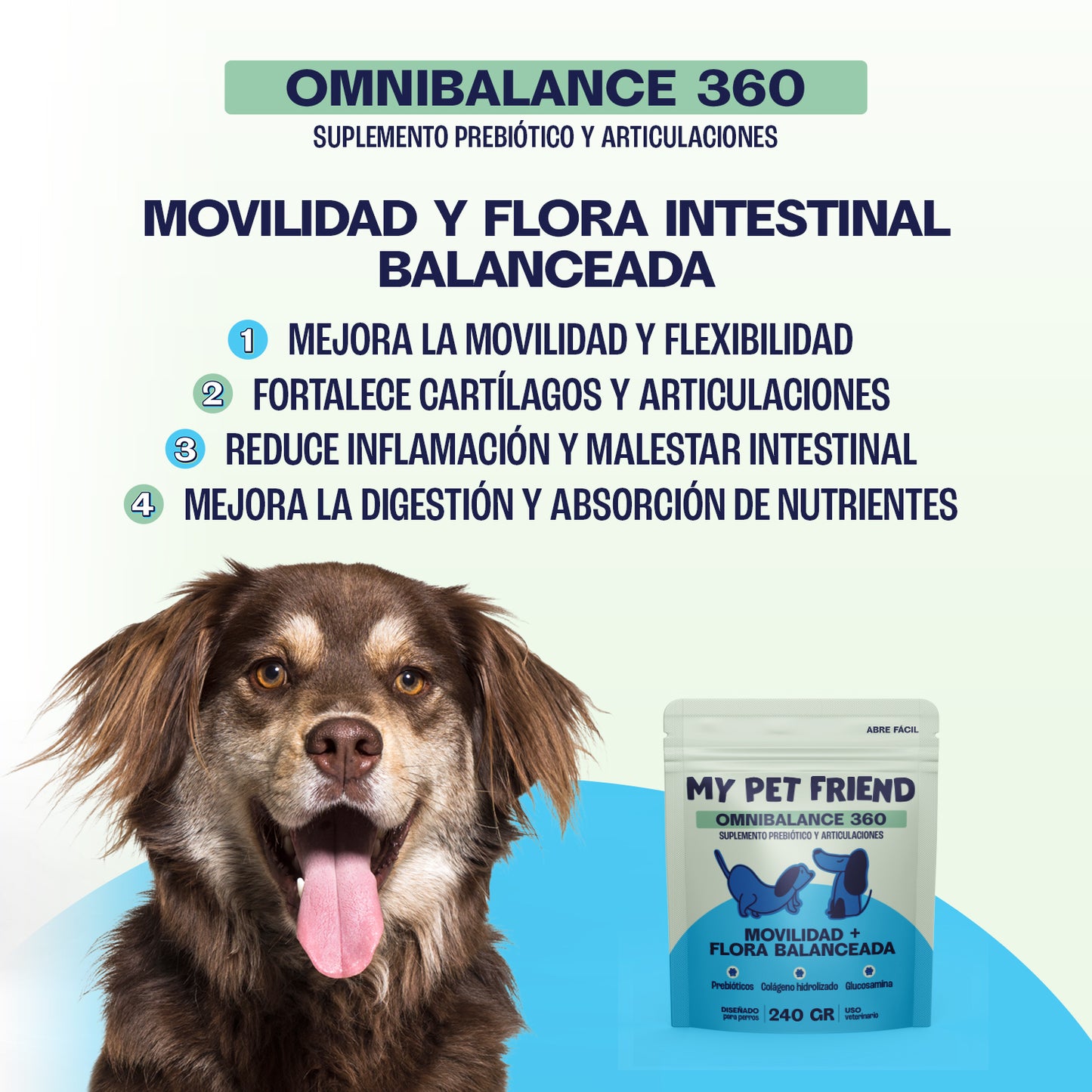 OMNIBALANCE 360 – Suplemento 2 en 1: Articulaciones + Digestión