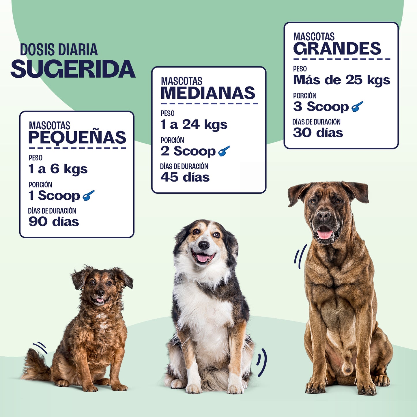 OMNIBALANCE 360 – Suplemento 2 en 1: Articulaciones + Digestión