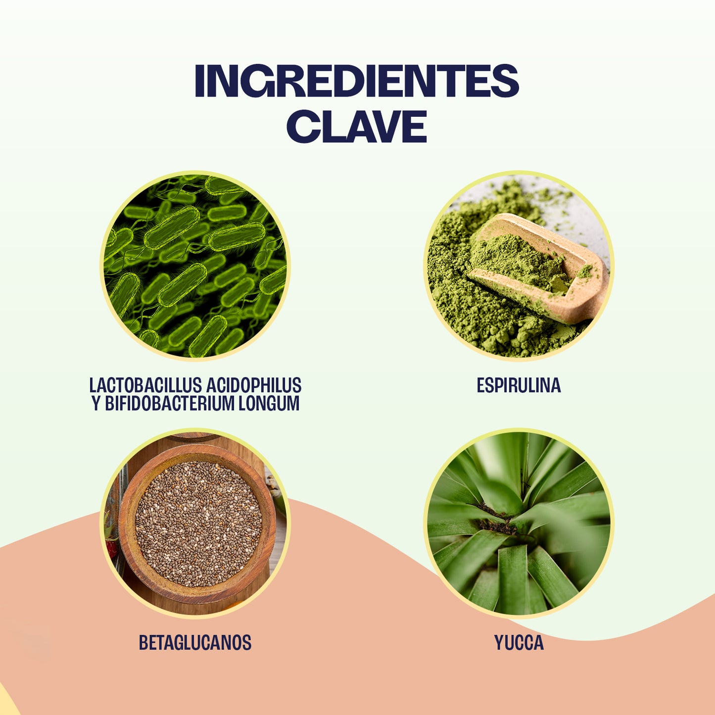 Probiótico Natural Gatos - PREBIOTIC SUPPORT