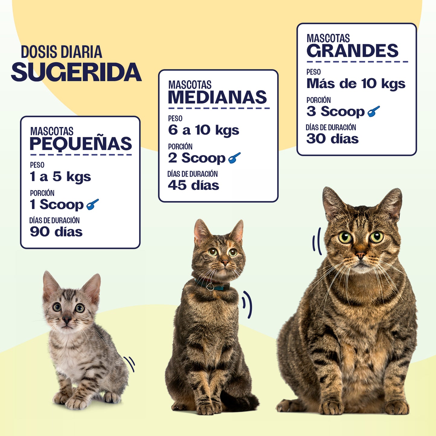 Suplemento Urinario Gatos - URYNEASE