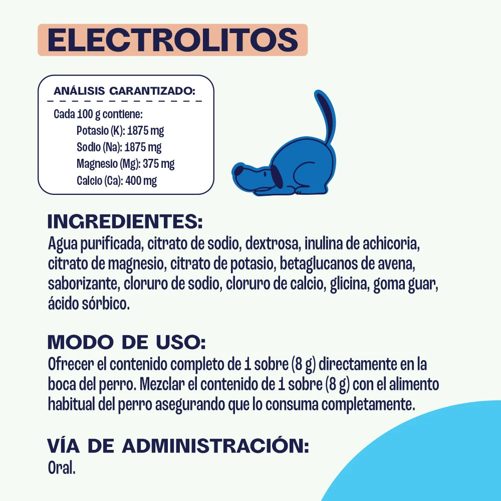 Kit - All You Need is Dog - 4 PRODUCTOS